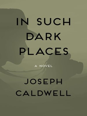 cover image of In Such Dark Places
